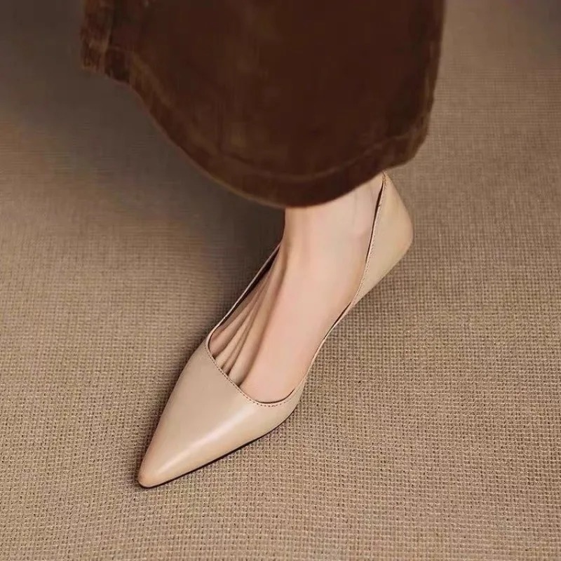 Women's Pointed Toe Stiletto H - đánh giá và giá Women'S Fashion Shoes